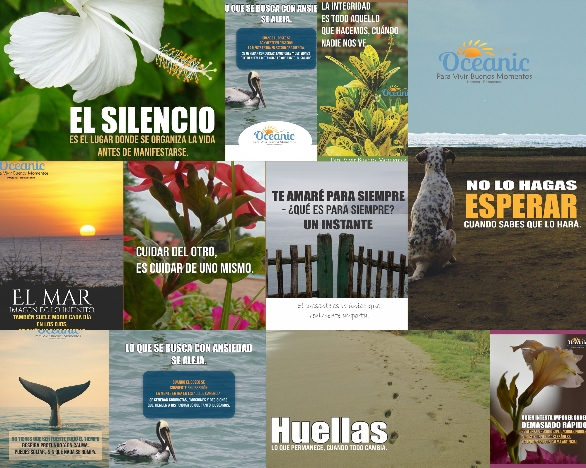 Camino de arena hacia el mar con frase sobre llegar buscando respuestas