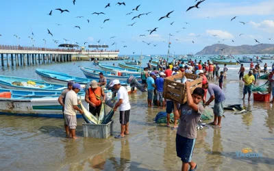 Artisanal fishing at the Puerto López pier, Manabí, Ecuador